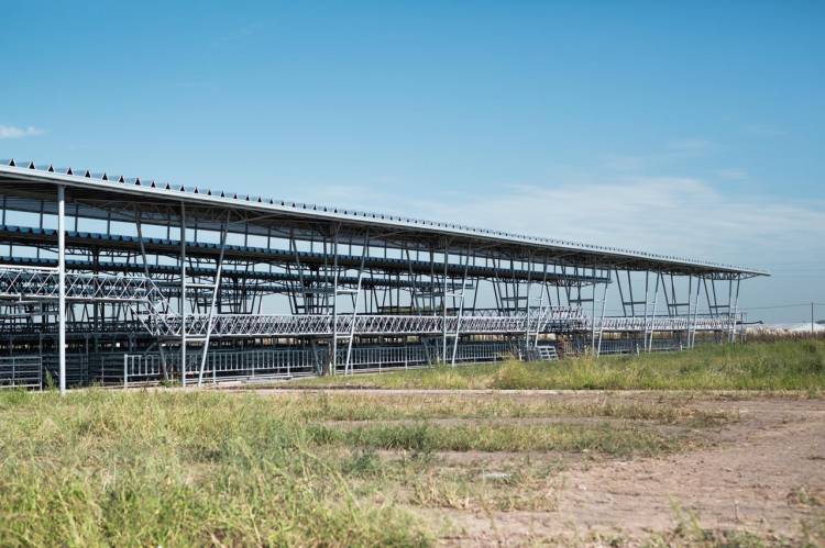 Votarán una nueva prórroga para el traslado a Cañuelas del Mercado Agroganadero