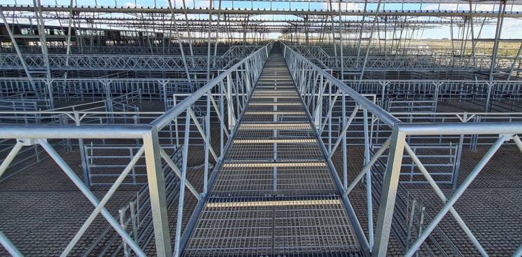 En Octubre abre el Mercado de Hacienda en Cañuelas