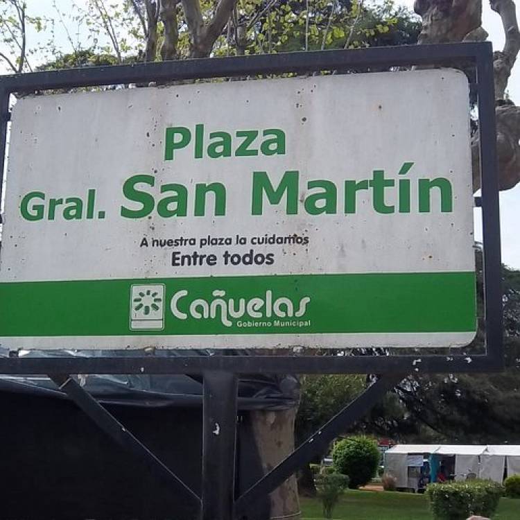 Se recambiará un cedro en la plaza San Martín