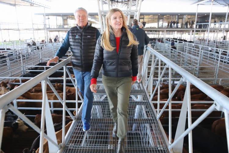 Un nuevo remate en el Mercado Agroganadero de Cañuelas con la presencia de la intendenta Fassi