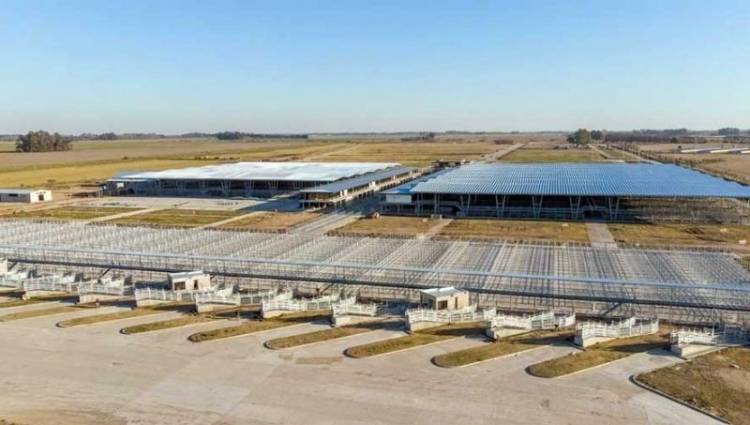  Últimos días de remates de ganado en Mataderos antes de su traslado definitivo a Cañuelas