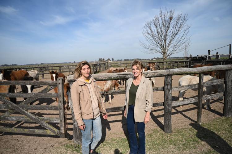 Marisa Fassi intercedió por los 60 caballos abandonados en un campo de Cañuelas