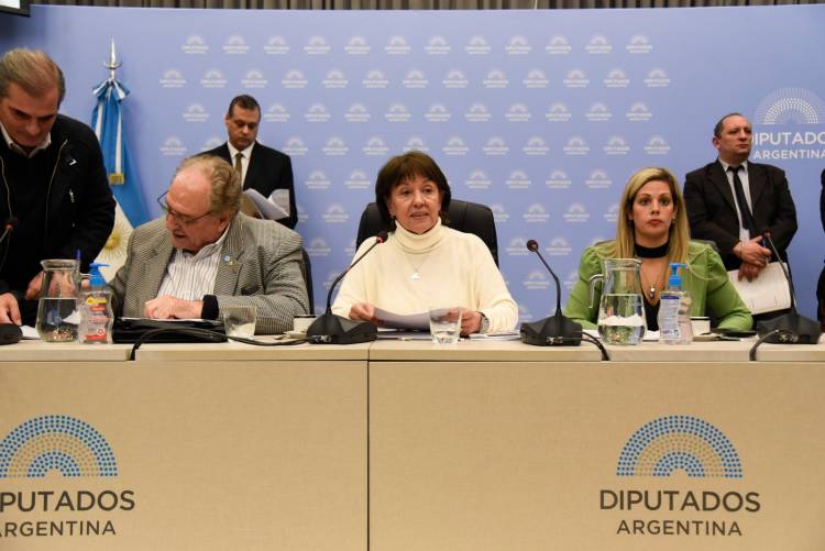 Diputados dictaminó la creación de la Universidad de la Cuenca del Salado