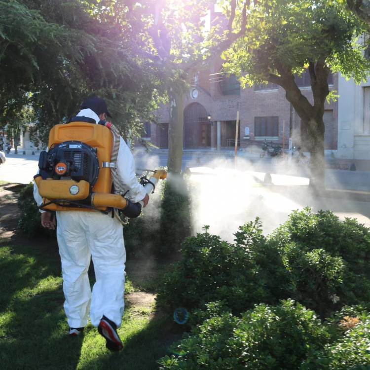OPERATIVOS DE FUMIGACIÓN CONTRA EL DENGUE