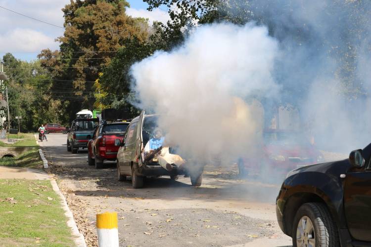 Se intensifica la campaña contra el Dengue