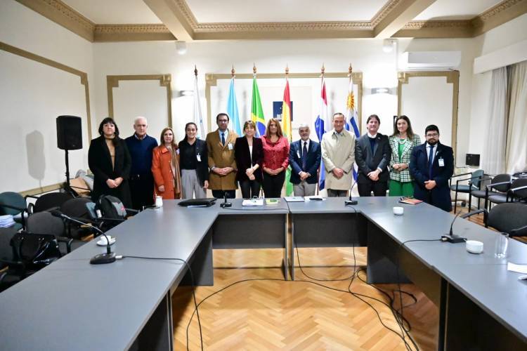 El bloque de Unión por la Patria  del Parlasur repudió el RIGI