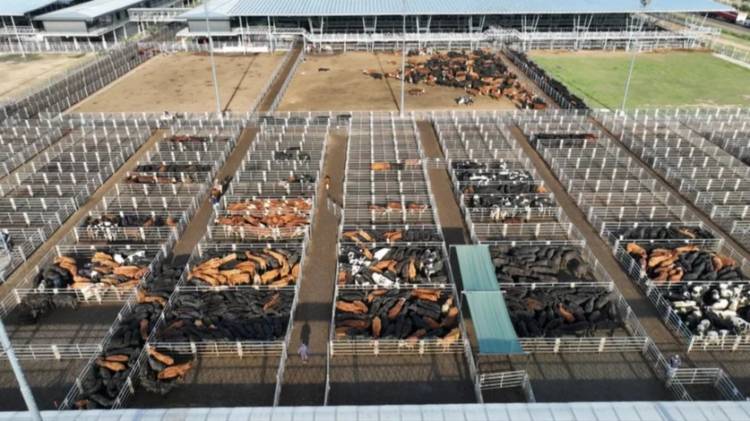 Reincorporan a trabajador y dirigente sindical del MAG