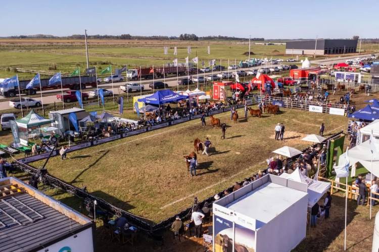 Cañuelas recibe a la CUMBRE de la ganadería
